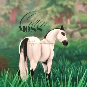 Cotton Moss