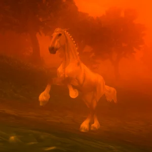 Burning Forest