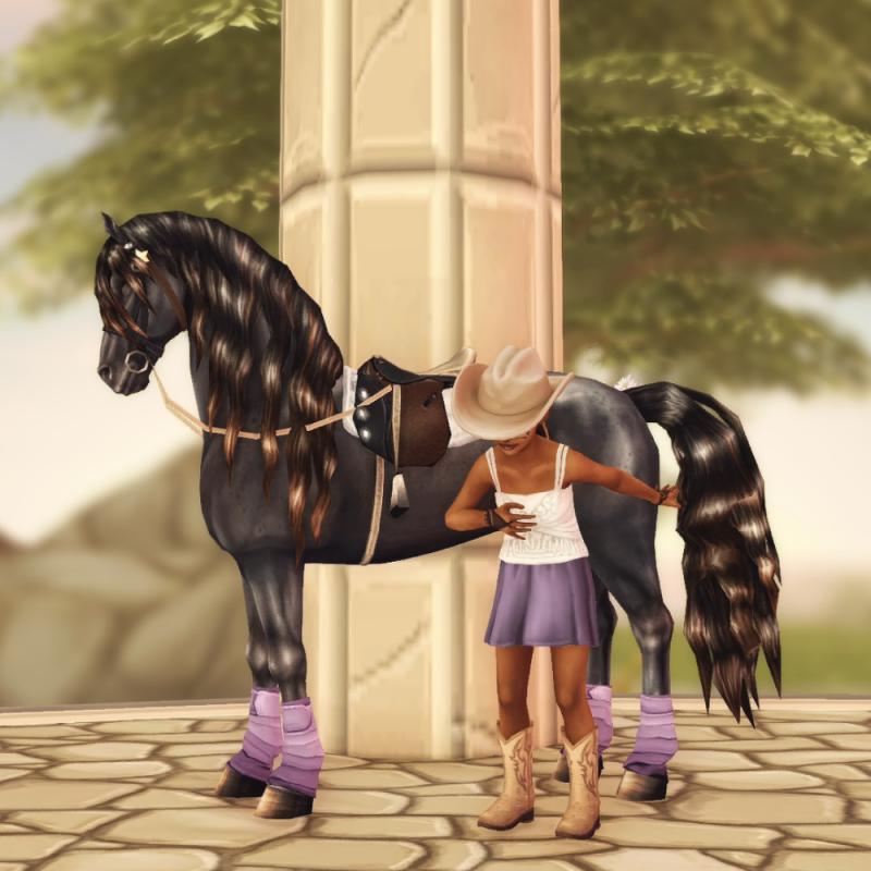 Lavender Melody