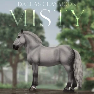 Misty