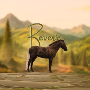 Reverie