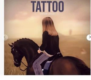 tattoo reshade preset