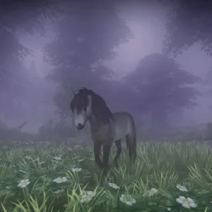 Foggy Woods