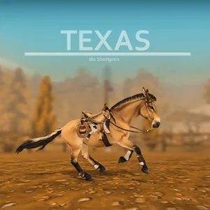 Texas