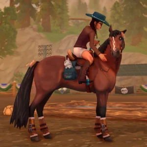 Saddle & Style