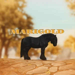 Marigold