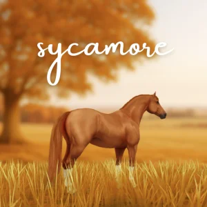 Sycamore – By Cass