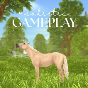 Realistic Gameplay – By cass