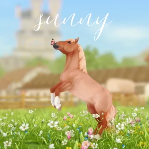 Sunny – By Cass