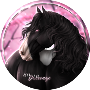 Ellora Dressage