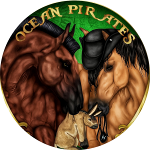 Ocean Pirates