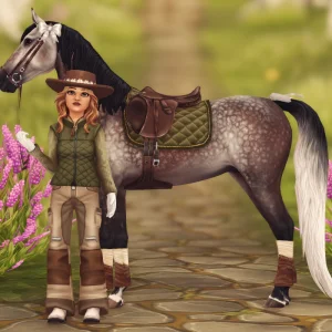 Winter Traveler