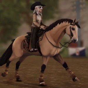 Autumn Trail Ride