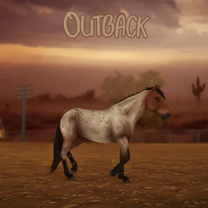 Outback