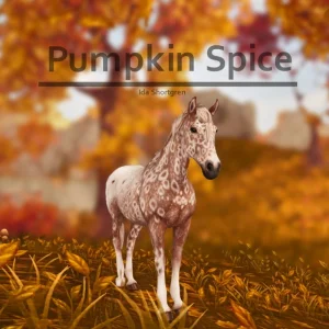 Pumpkin Spice
