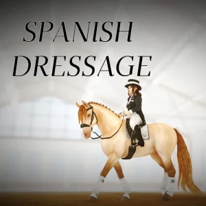 Spanish Dressage – 🐴🏆💛💛💛