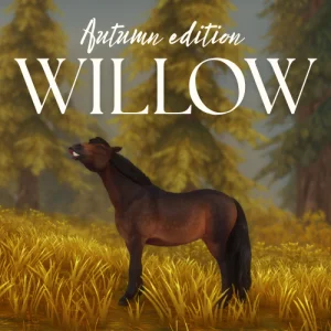 Willow (rainy autumn edition)