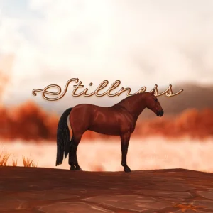 Stillness