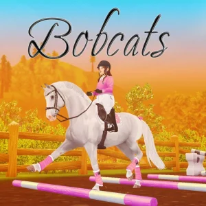 Bobcats – 🩷🎀🌸🌷🧡