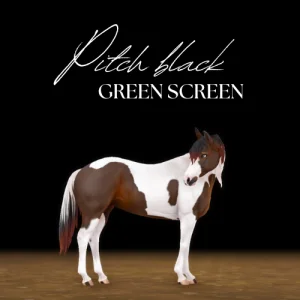 Pitch black greenscreen