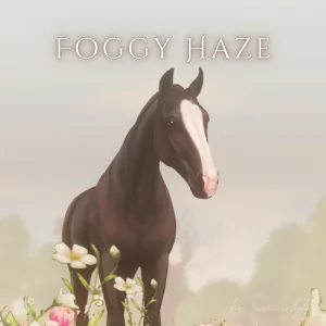 Foggy Haze