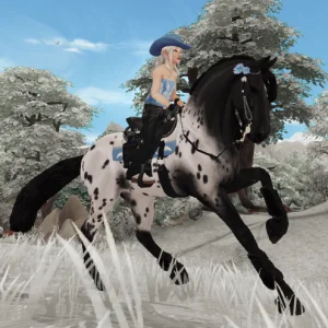 Black and Blue Outlaw