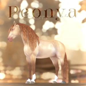 « Peonya »