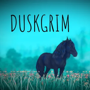 Duskgrim – 🩵🩵🐦‍⬛🖤🖤