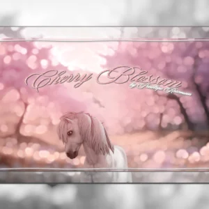Cherry Blossom