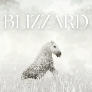 Blizzard (animated)