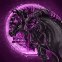 Invisible Dreamers Nation