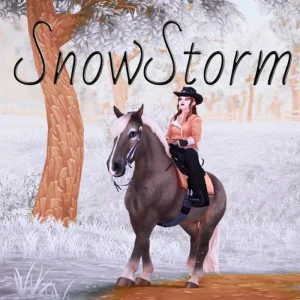 Snowstorm – ❄️☃️💙❄️