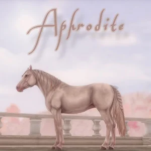 Aphrodite