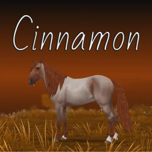 Cinnamon – 🪶☕🤎🍂