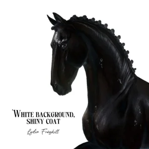 White background, shiny coat