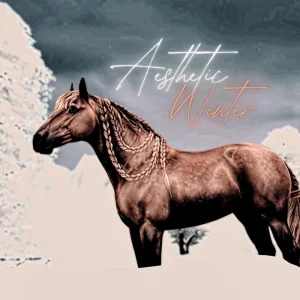 Aesthetic Winter