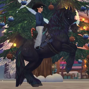 Arctic western outfit