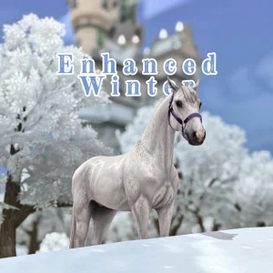 Enhanced Winter
