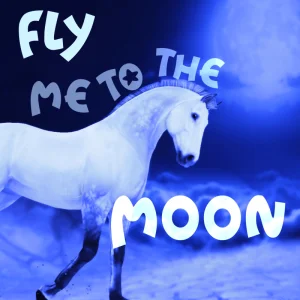 Fly Me To The Moon