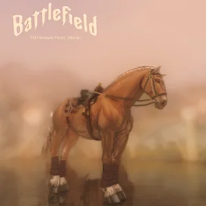 Battlefield