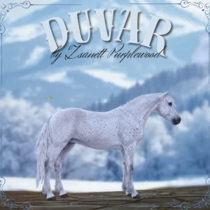 Duvar