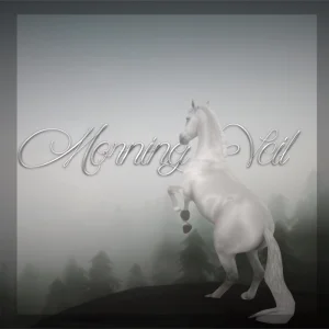 Morning Veil ♡⸝⸝