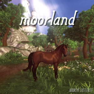 Moorland