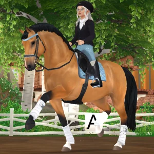 sky blue dressage outfit