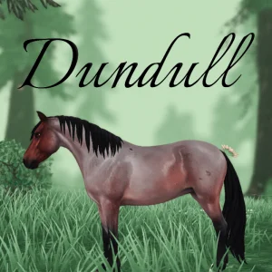 Dundull – 💚🏕️🌲🌳🌿