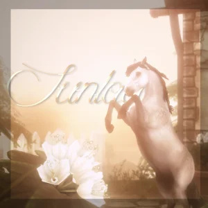 Sunlace ࣪ ˖☀︎