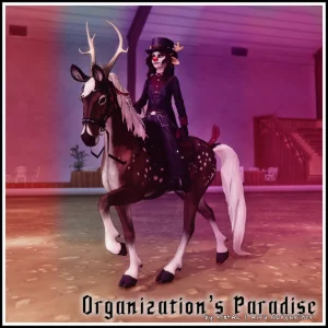 Organization’s Paradise