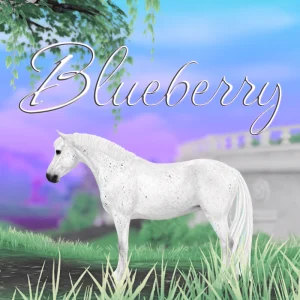 Blueberry – 🫐💜💙💚