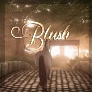 Blush ꒱⸒⸒