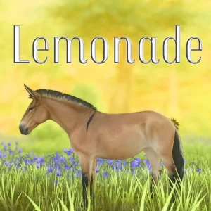 Lemonade – 🍋🌻💛🍊